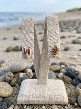 Real tiny sea shells earrings 🐚